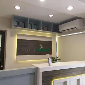 Midori Philippines